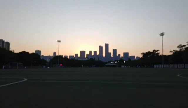 企业管理咨询中常见误区的澄清与应对策略